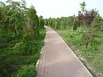 山间小路