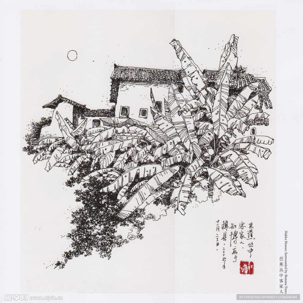 芭蕉丛中客家人