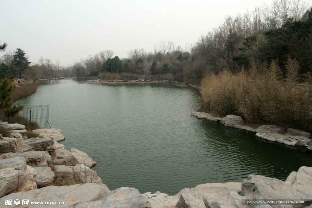 湖水 植物 波纹 山水 水木