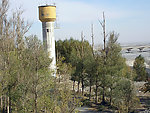 莫高窟风景