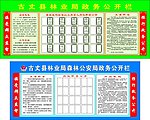 林业局 森林公安 政务公开栏 职责公开栏 展板