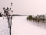 雪中河堤