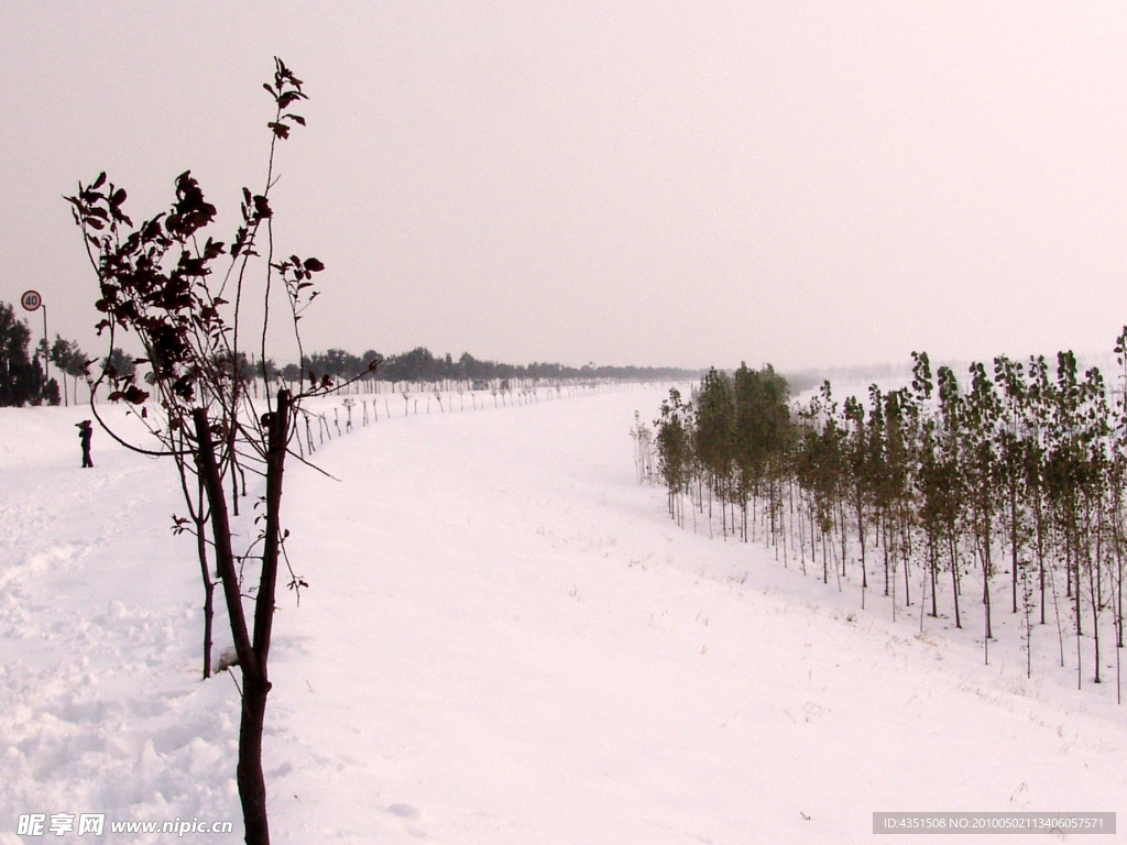 雪中河堤