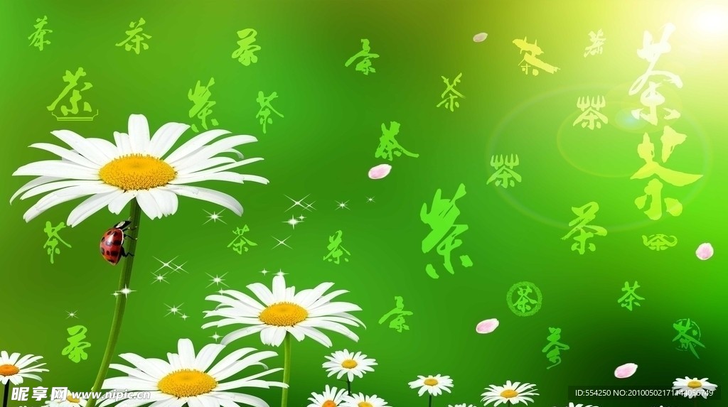 菊花背景