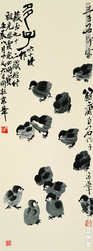 鸡群