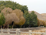 莫高窟风景