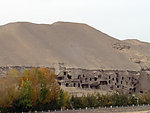 莫高窟风景
