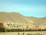 莫高窟风景