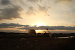 夕阳