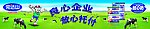 完达山牛奶