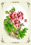 牡丹
