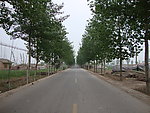 公路