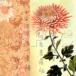 花卉油画 （ 50厘米 X 50厘米 ）