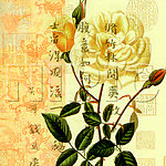 花卉油画55260一套三幅 （ 50厘米 X 50厘米 ）