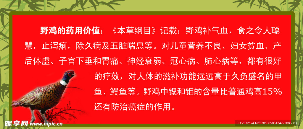 野鸡户外