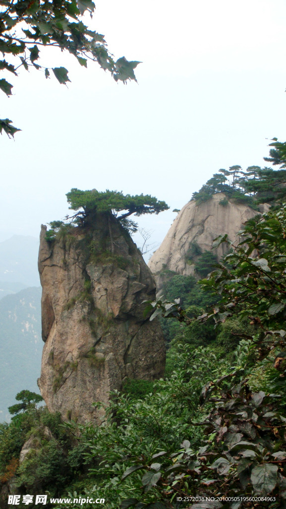 山景