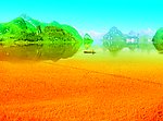 山水稻田