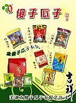 傻子瓜子 海报
