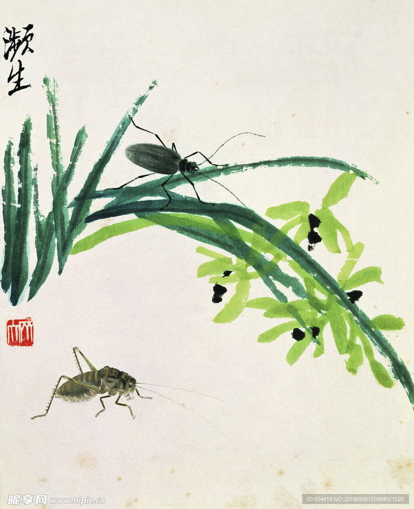 国画兰花