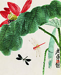 荷花