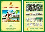 盛世国际
