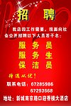 招聘 酒店招聘