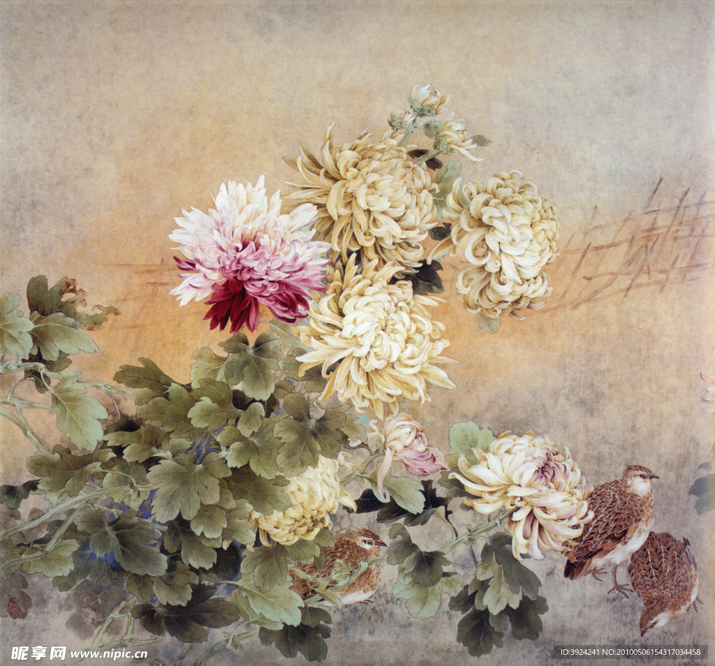 花鸟画菊花