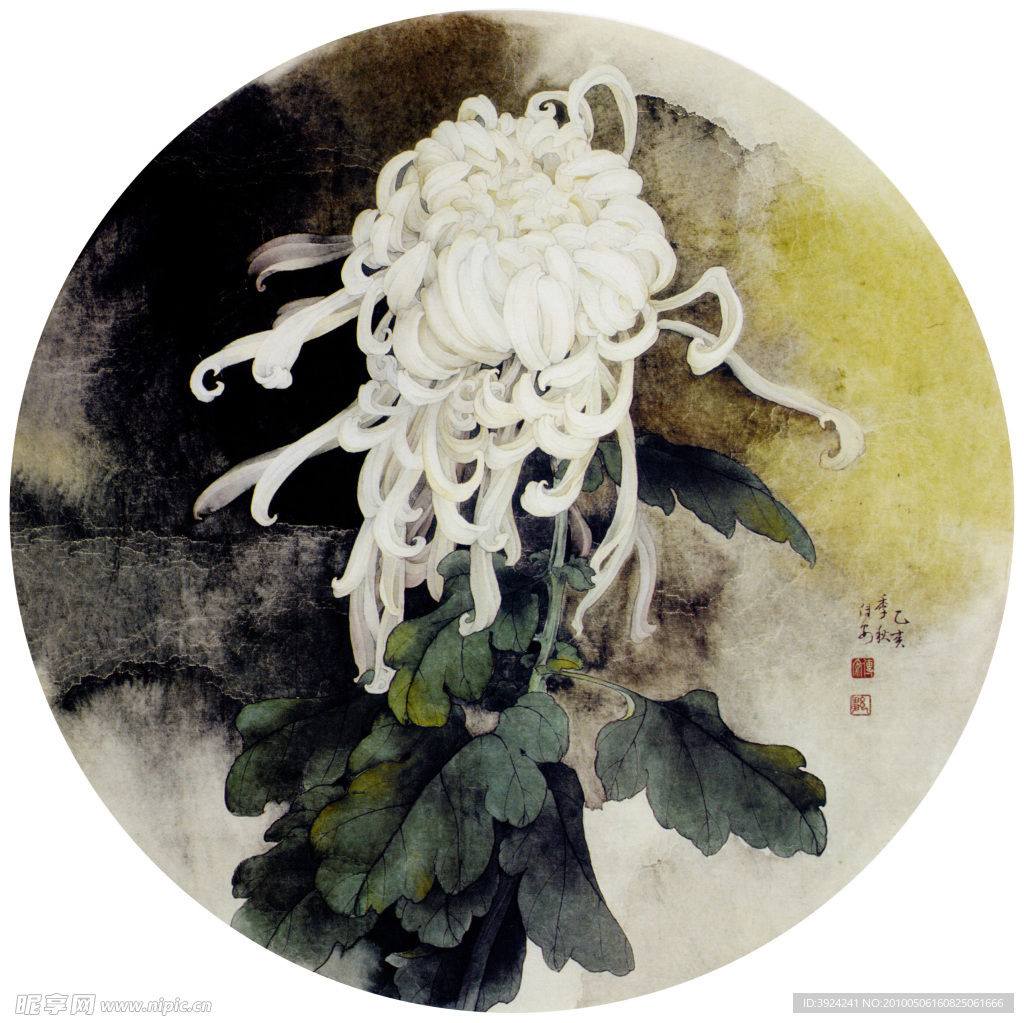 花鸟画菊花