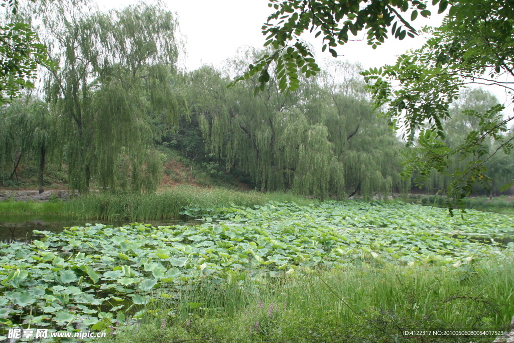 北京圆明园遗址风光