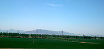 原野