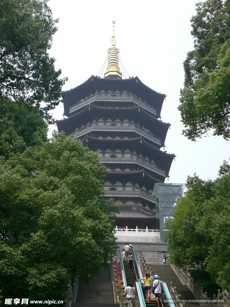 树丛中的新雷峰塔