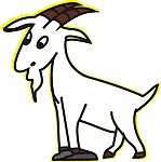山羊