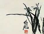 国画兰花