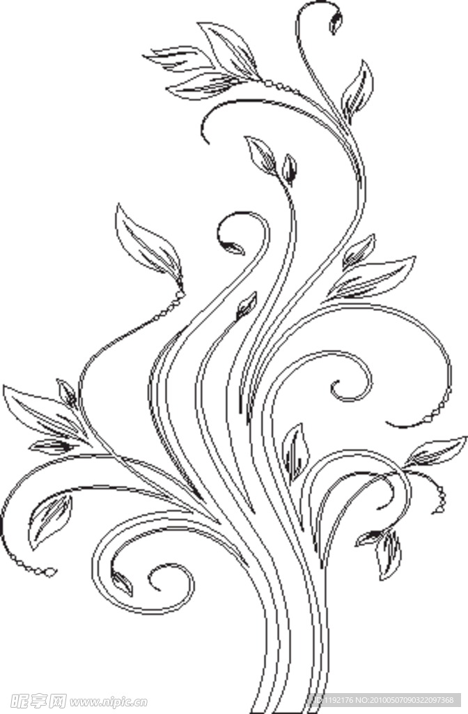 藤蔓 花纹