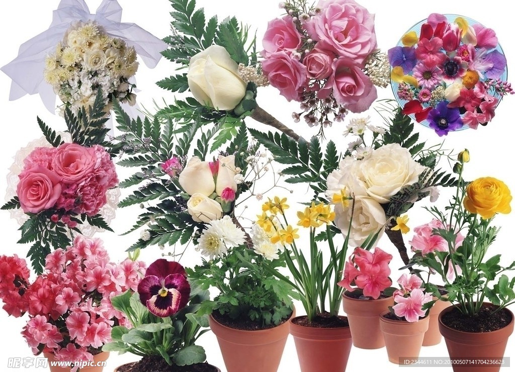 盆花及花束