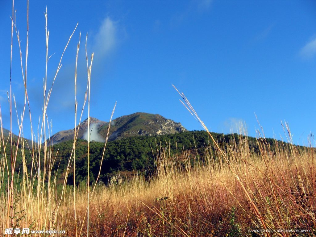 高山大岭