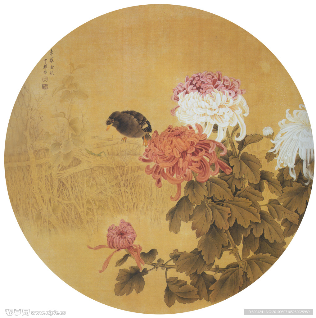 花鸟画菊花