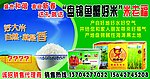 大米