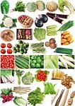 蔬菜分层图