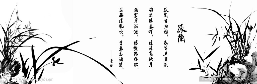 兰花