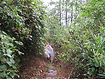 山里人家