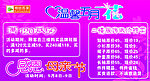 感恩母亲节温馨五月花