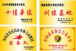 钛金牌样