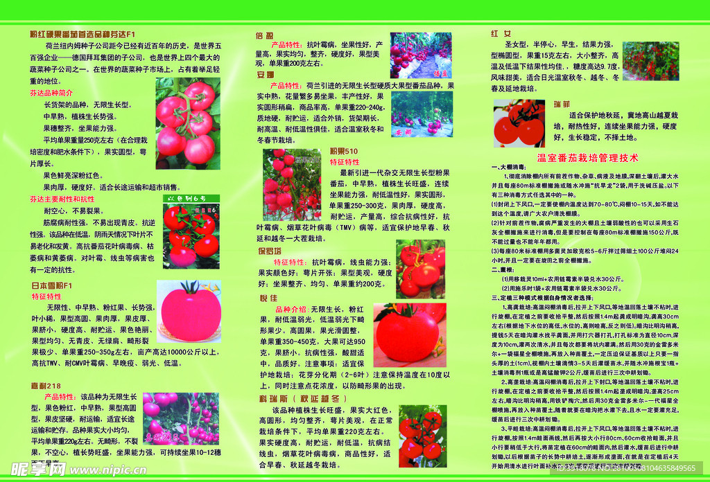 育苗中心彩页