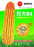 农大84玉米图彩页