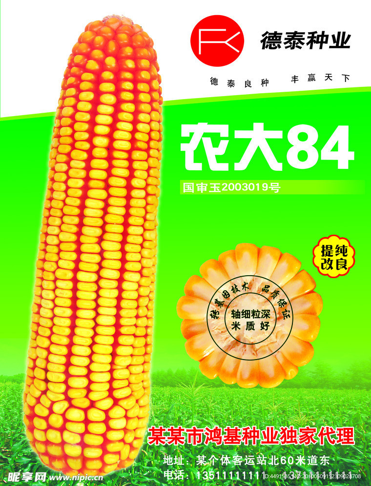 农大84玉米图彩页