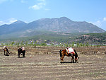 风景