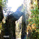 洛塔景区鳄鱼啃石