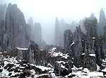 杉湾雾雪石林