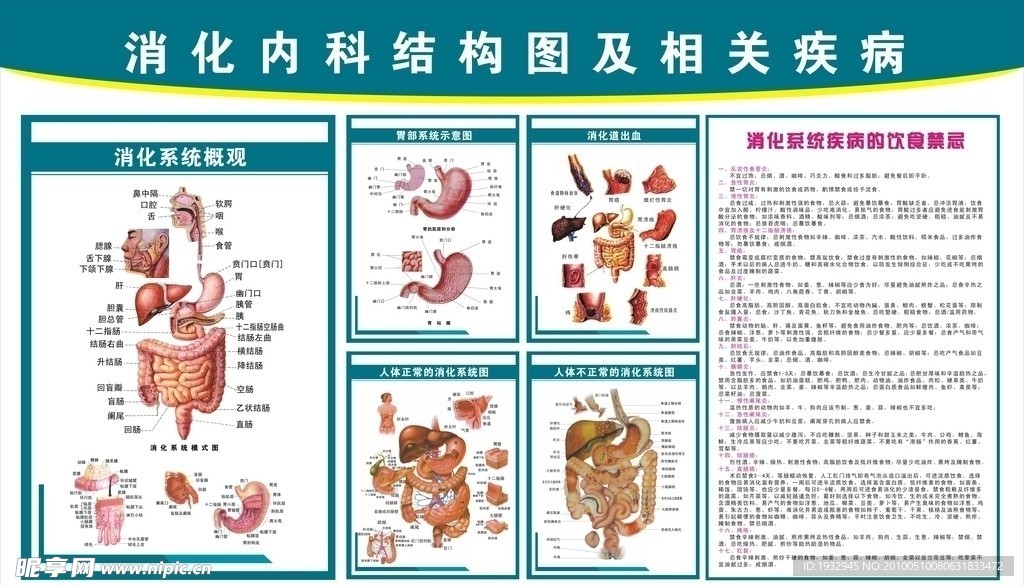 消化内科医院挂图